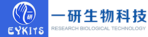 上海一研生物科技有限公司logo